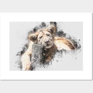 Lion Lion Cub Wild Animal Safari Africa Jungle Wildlife Posters and Art